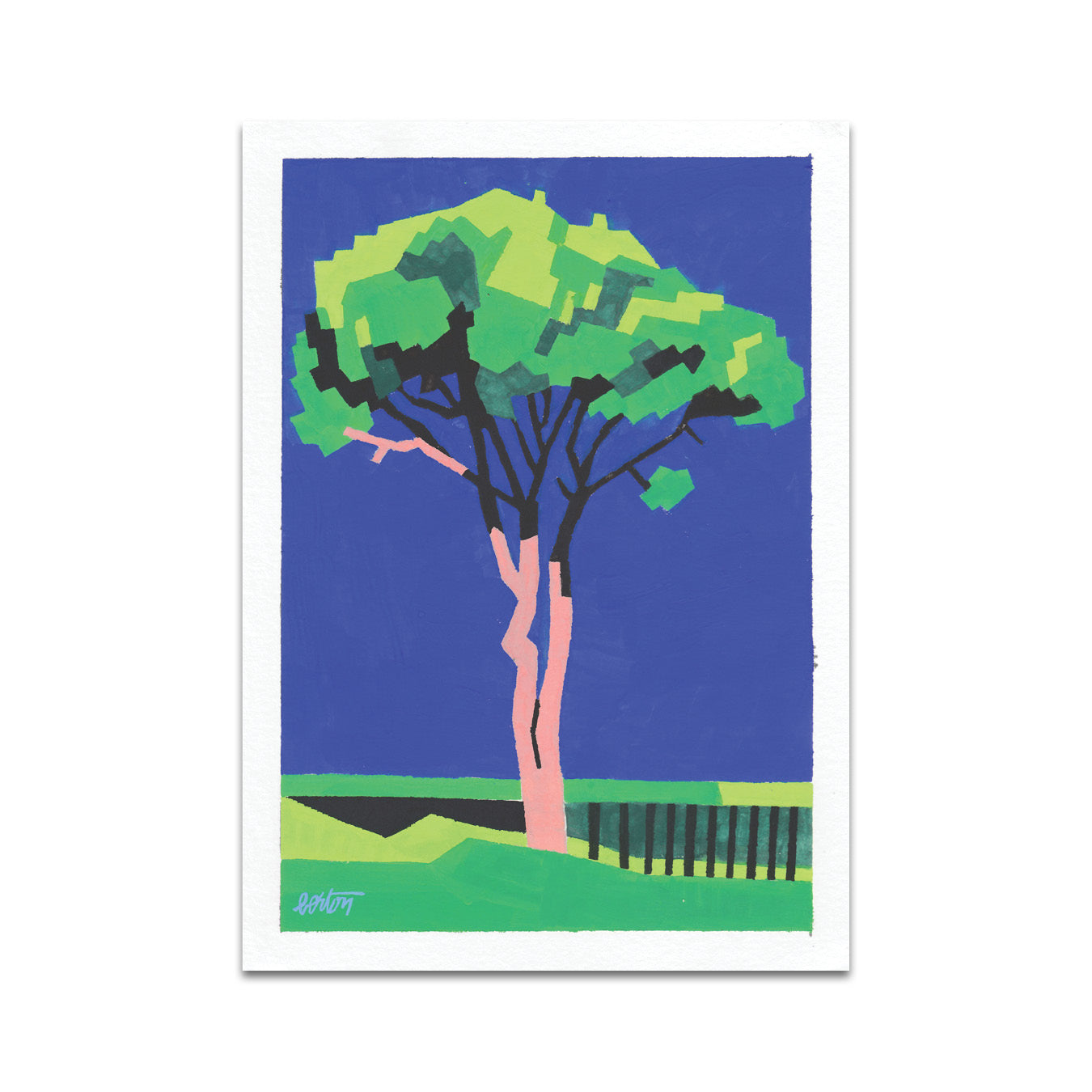 P7 - マッテオ・ベルトン ポストカード 5