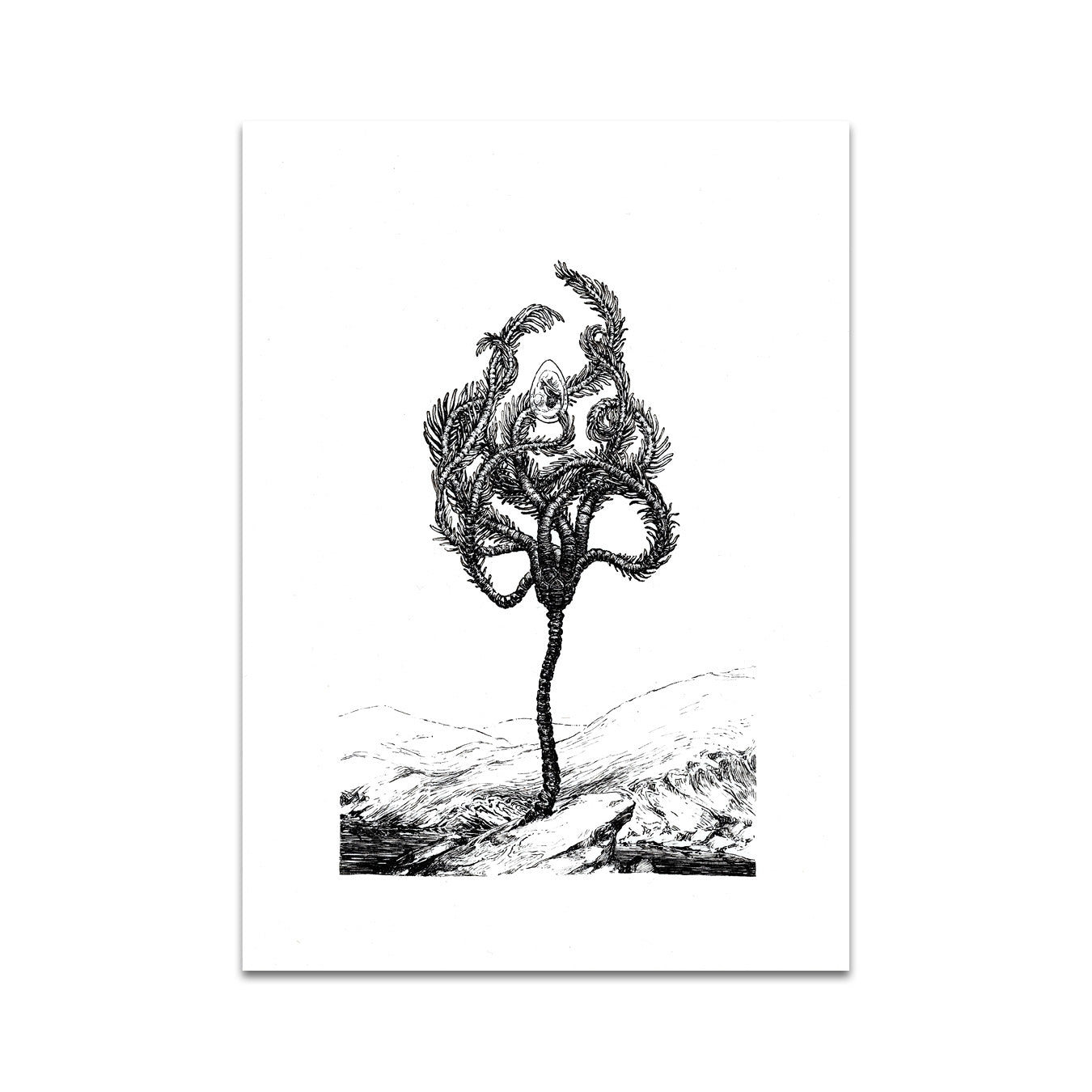 P7 - ペトラ フランコバ ポストカード 3