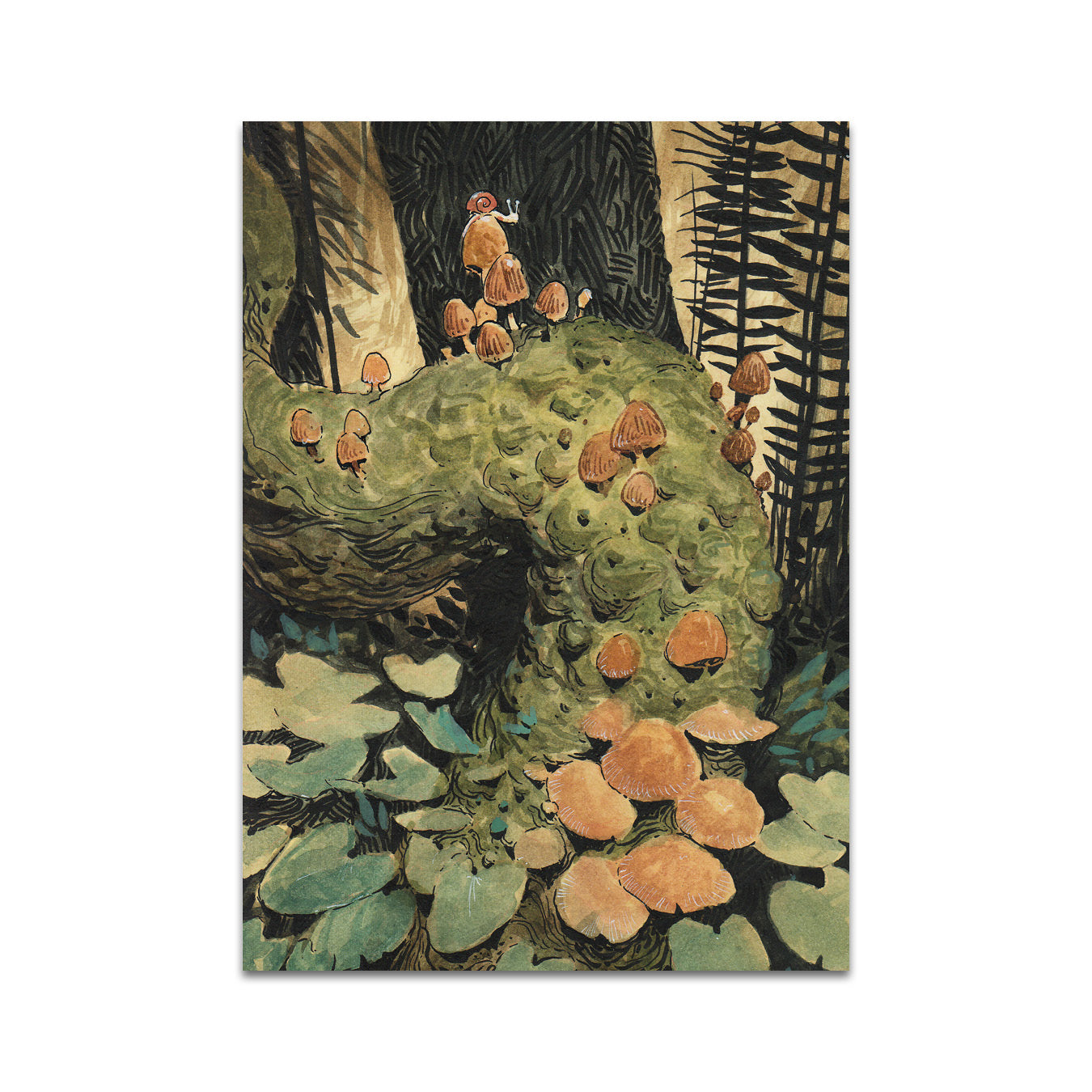 P7 - リッカルド・パニー ポストカード 3