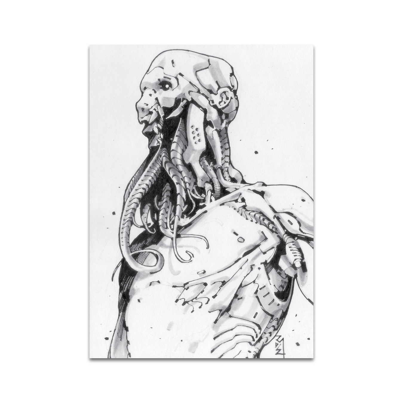 P7 - ロミー・アザン ポストカード 6