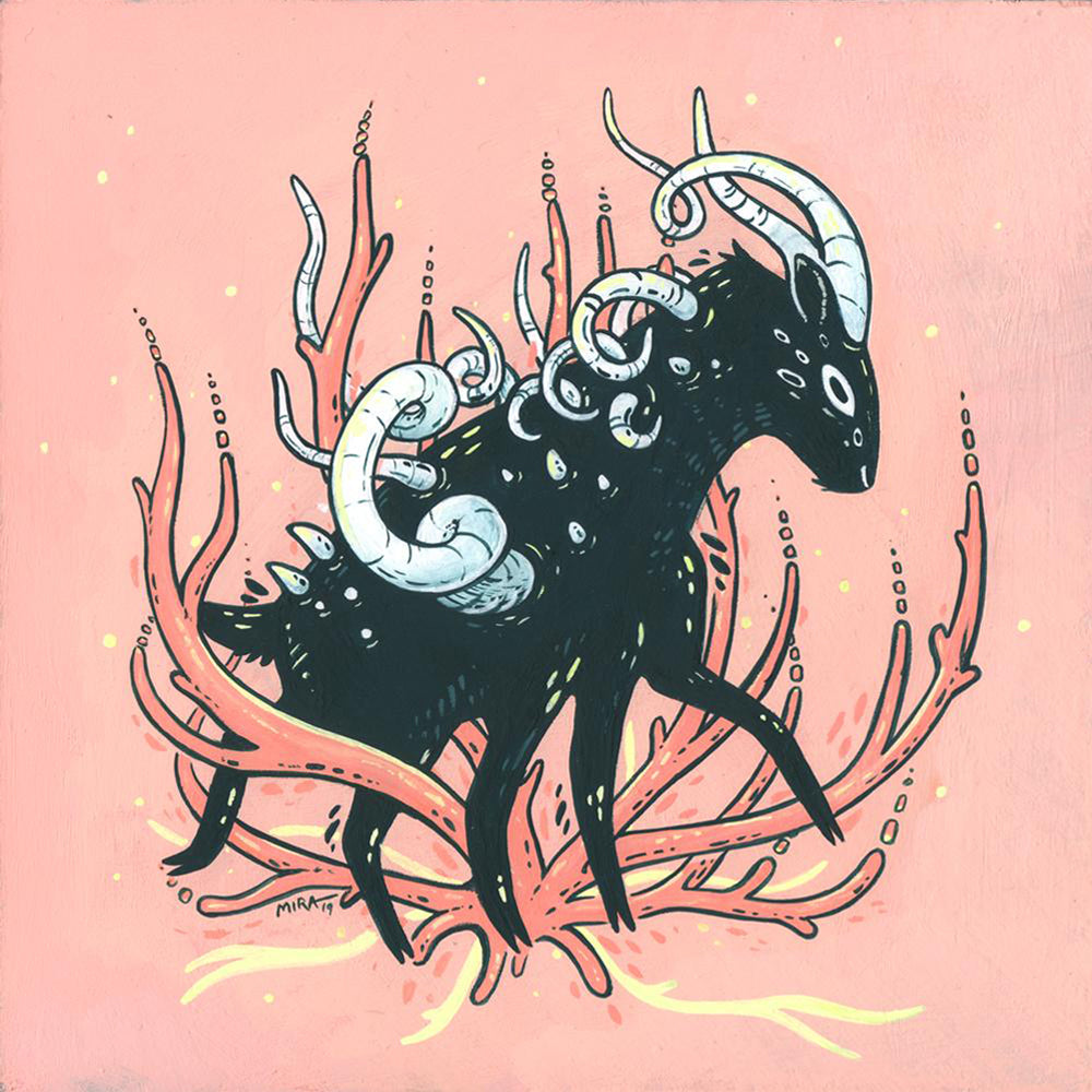 Miranda Zimmerman - Polycerate