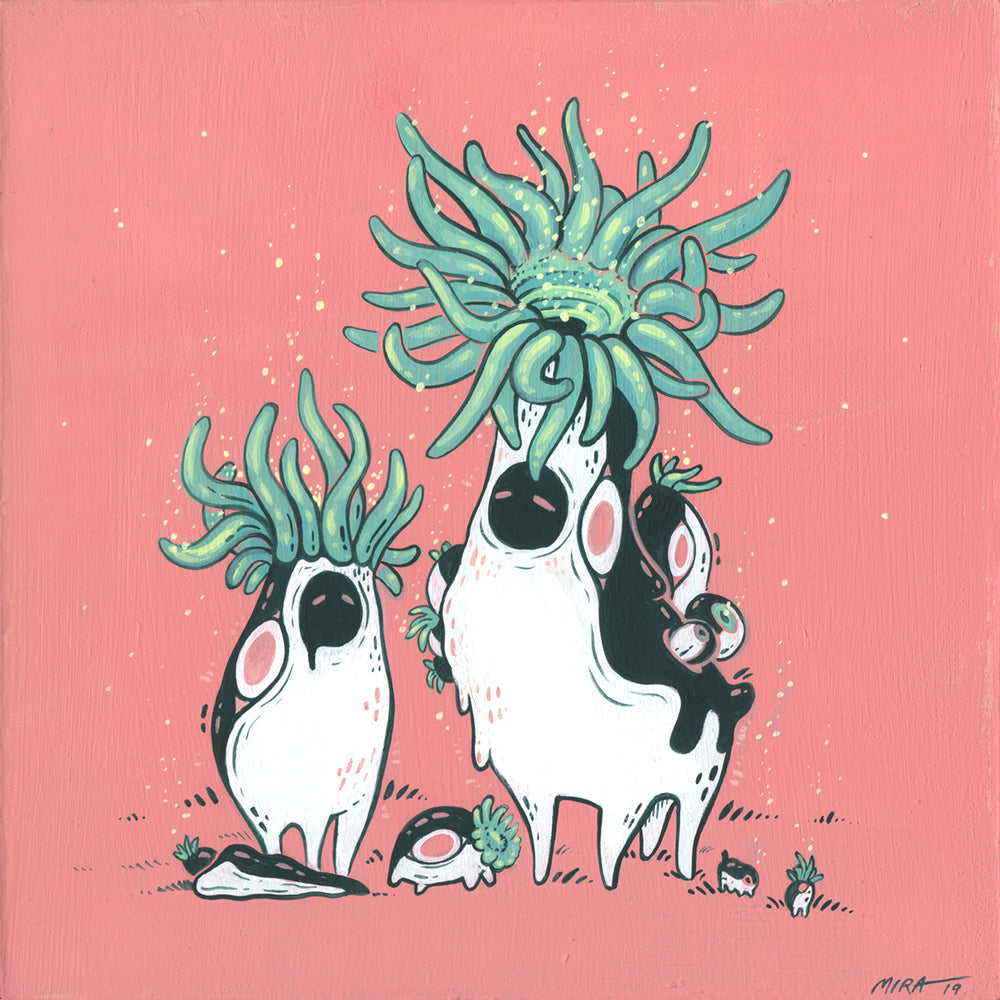 Miranda Zimmerman - Polyp