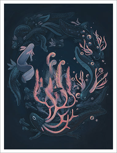 フォーンウッド - シュラウドのライフサイクル サラマンダー プリント (限定版)