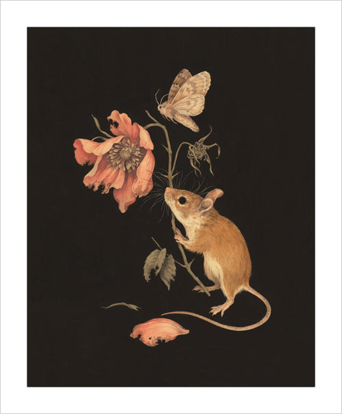 ティーガン・ホワイト - 無駄な捧げ物プリント