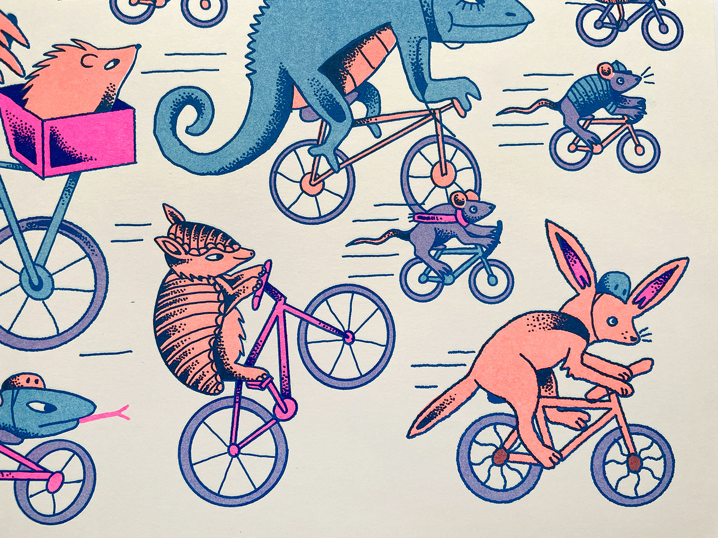 Jade Sturms - グループライド リソグラフ