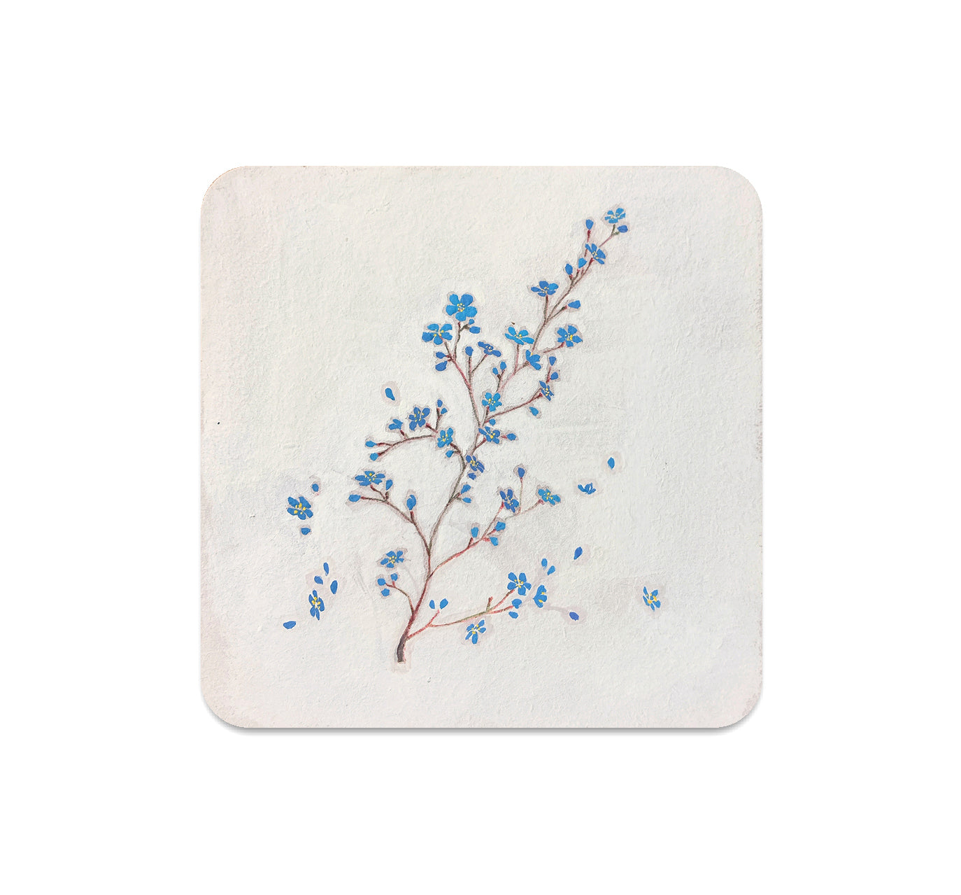 S5 グレース カム - 3 コースター