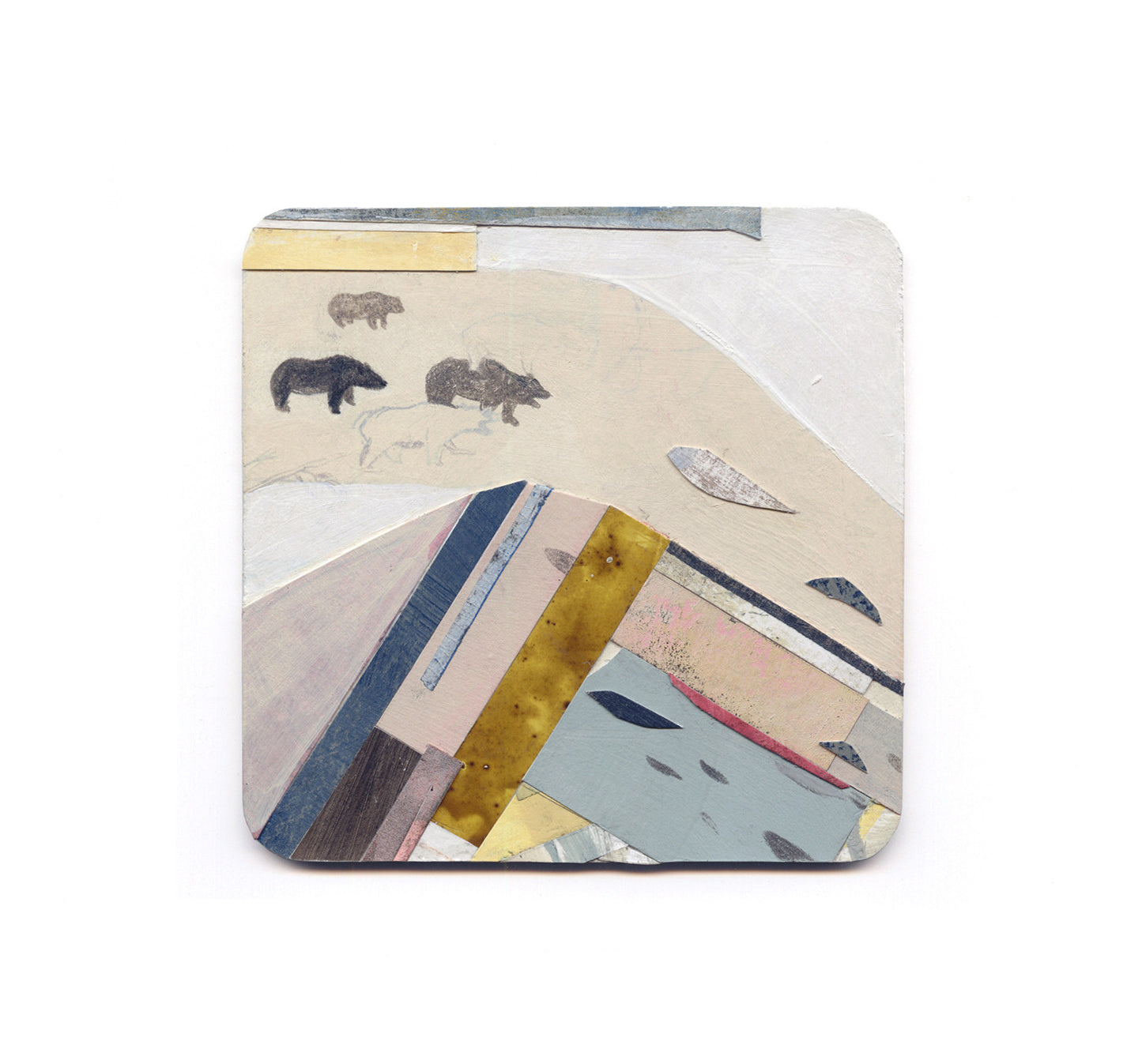 S1 Sally Deng - Salmon Fishing Coaster