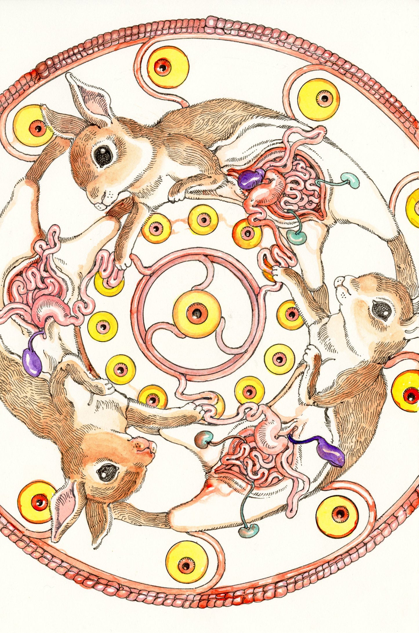 Shintaro Kago - Rabbit