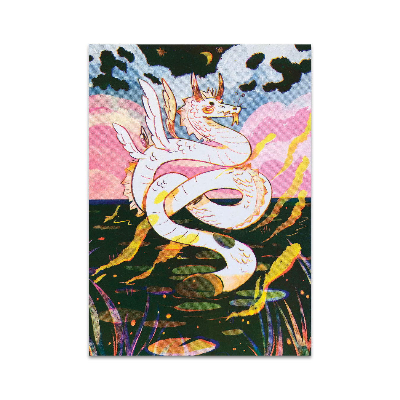 P5 ソフィー・ロビン - ポストカード 2 枚