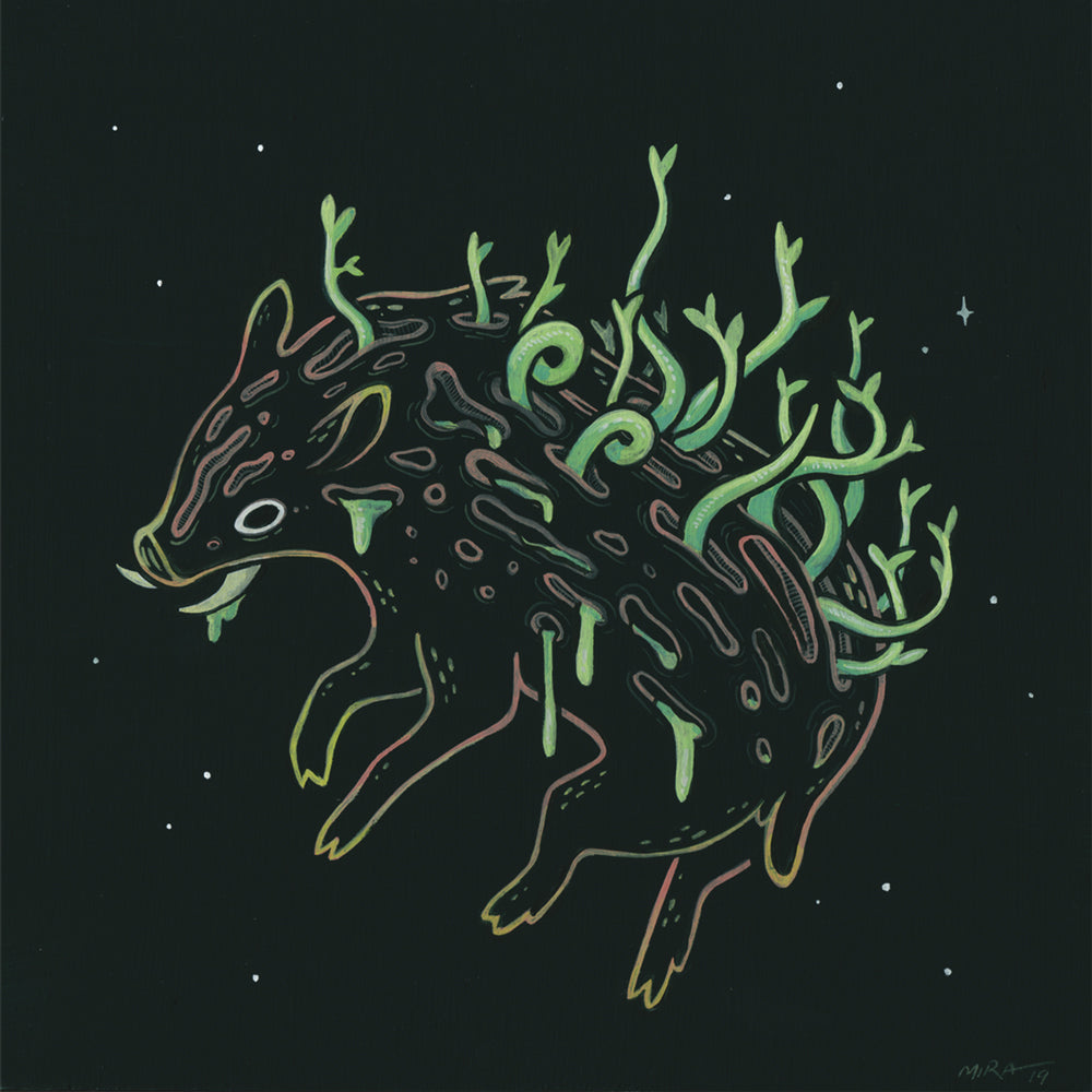 Miranda Zimmerman - Sprout