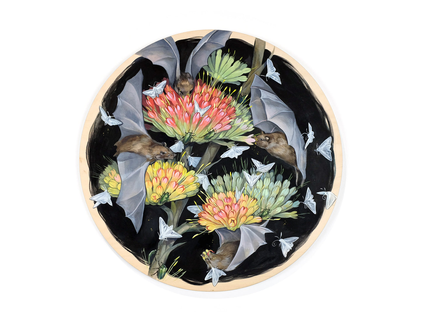 Stephanie Brown - Nectar as the Siren, Night as a Sea