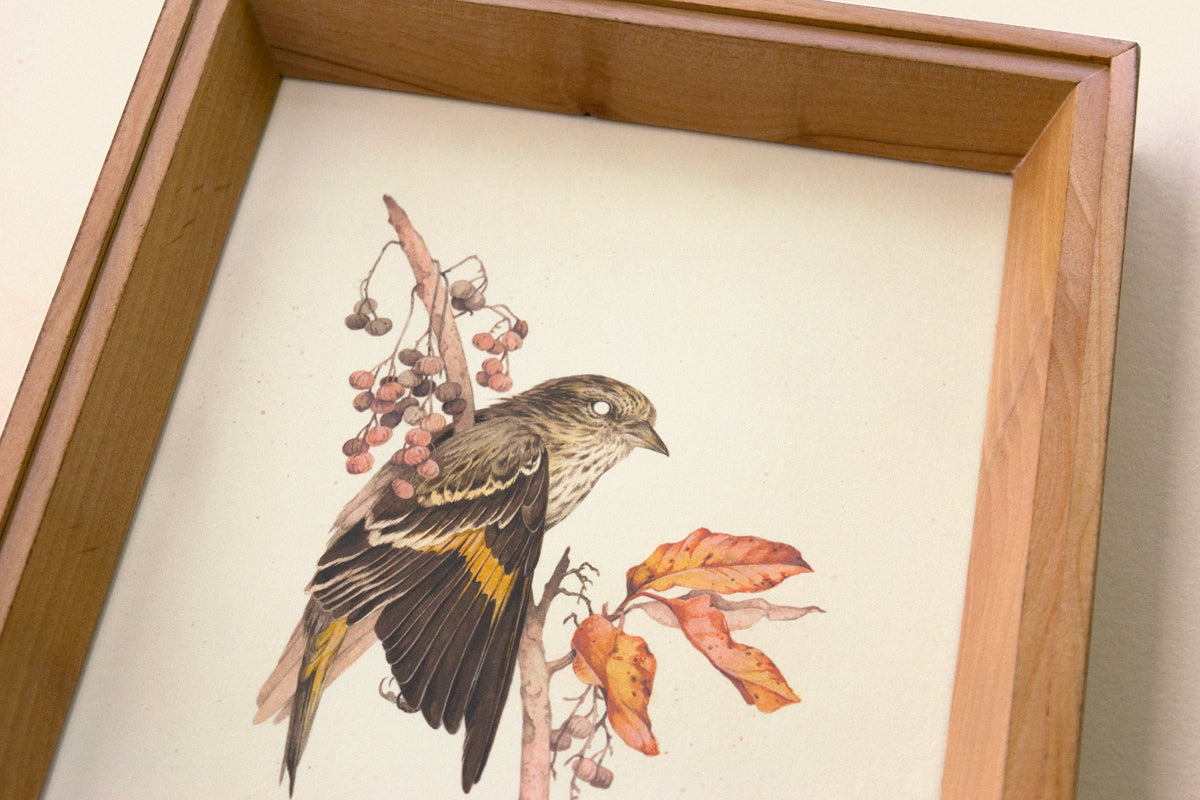 Teagan White - Suspend