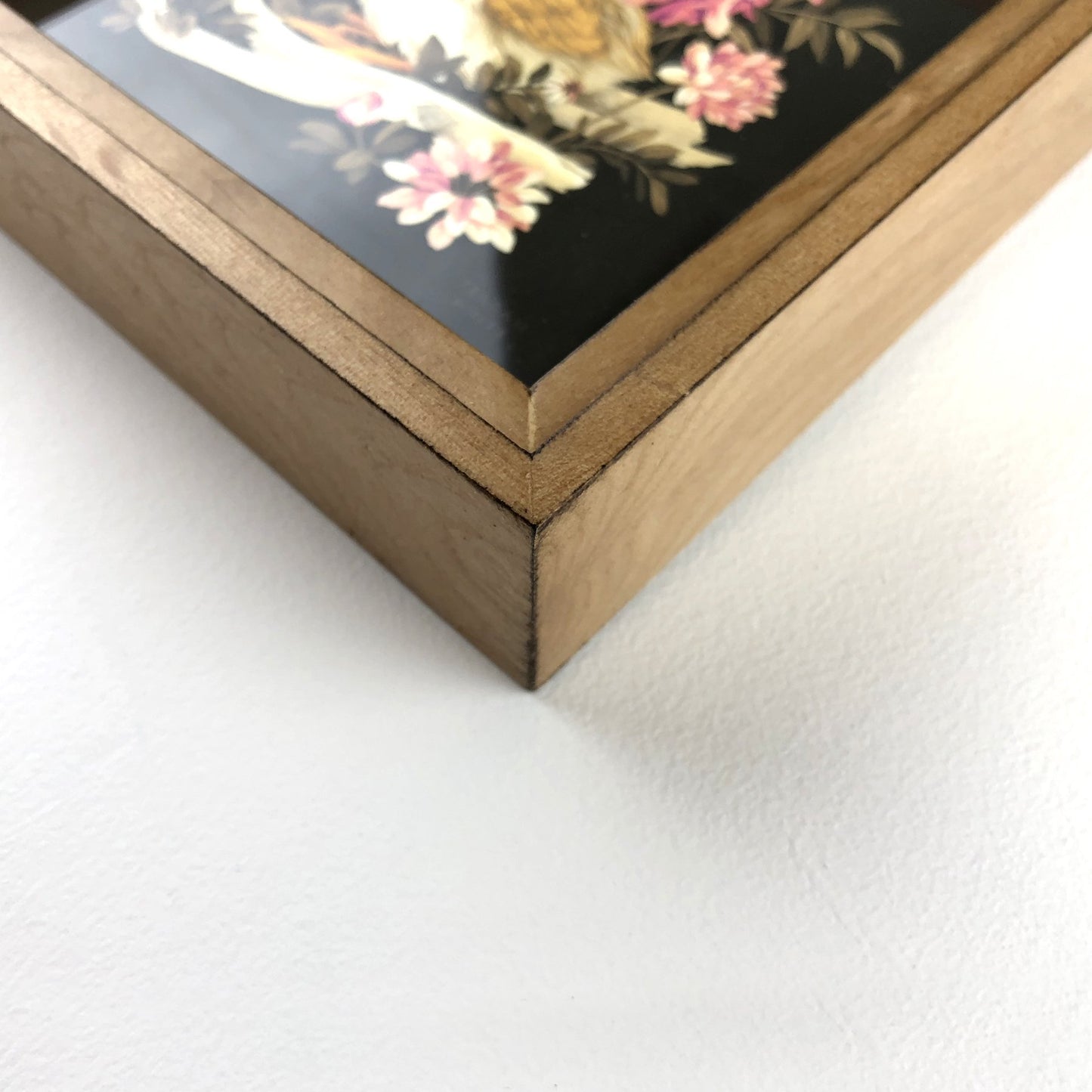 Teagan White - Hackle