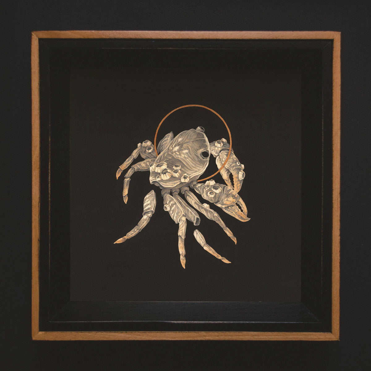 Teagan White - Tidepool