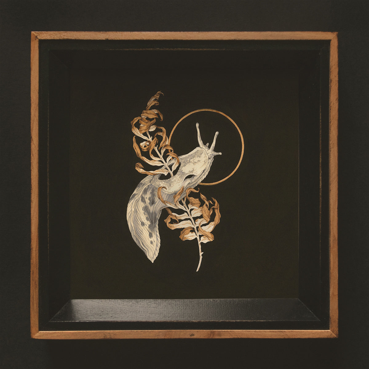 Teagan White - Underbrush