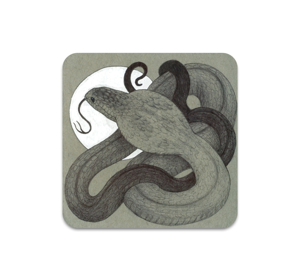 S3 ウィンターティース - 無題 1 コースター