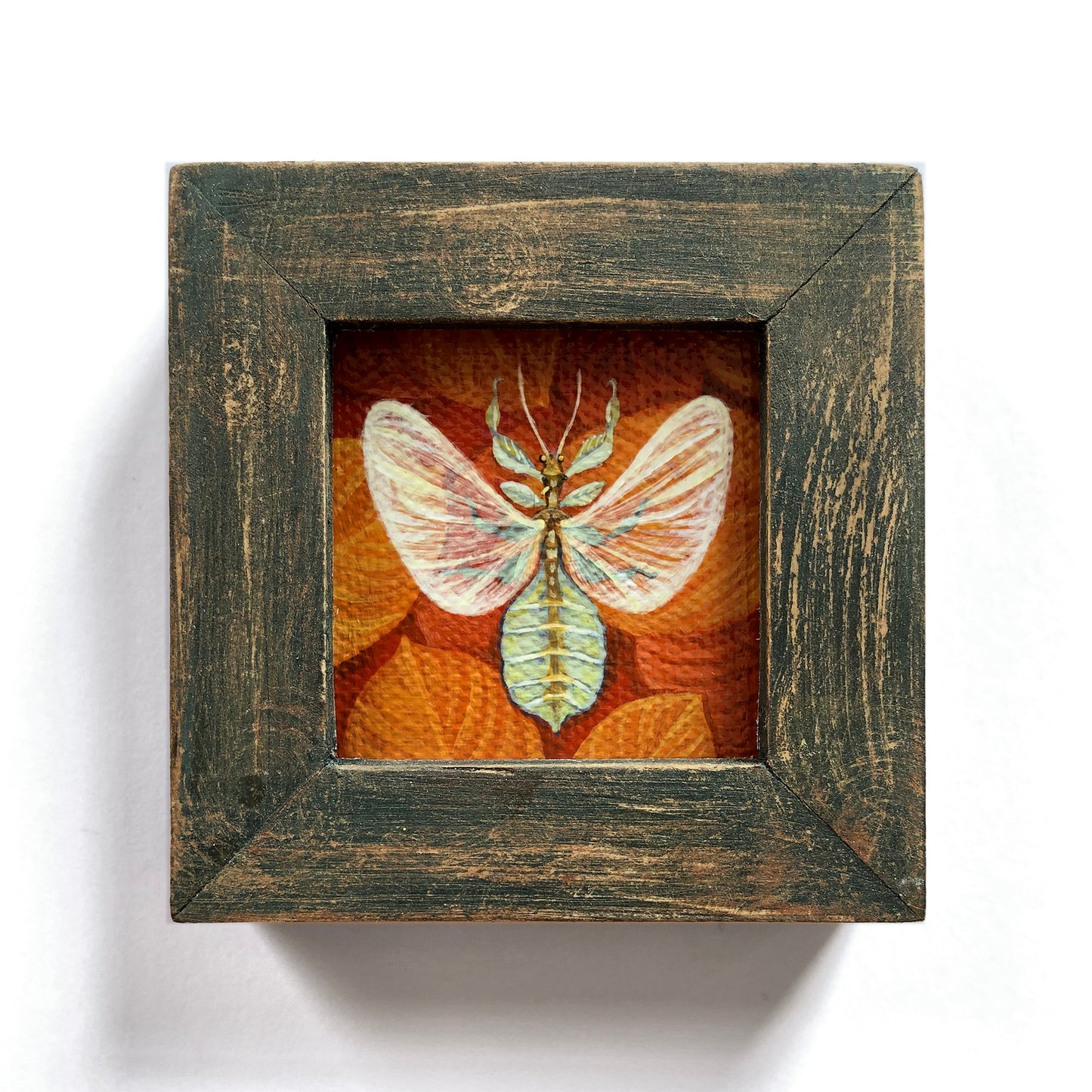 ヴァシリーサ・ロマネンコ - 葉っぱの昆虫