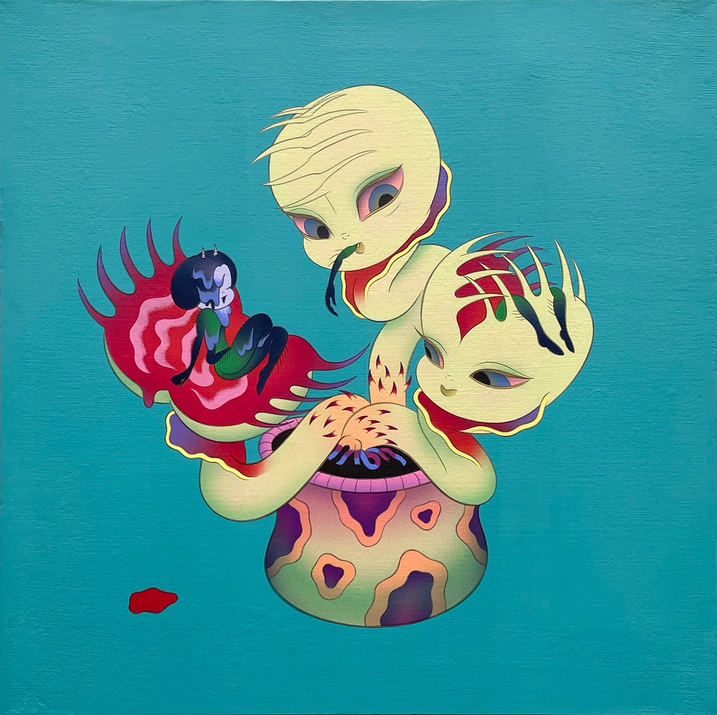 ささくくすりゆび 金星のハエトリソウ