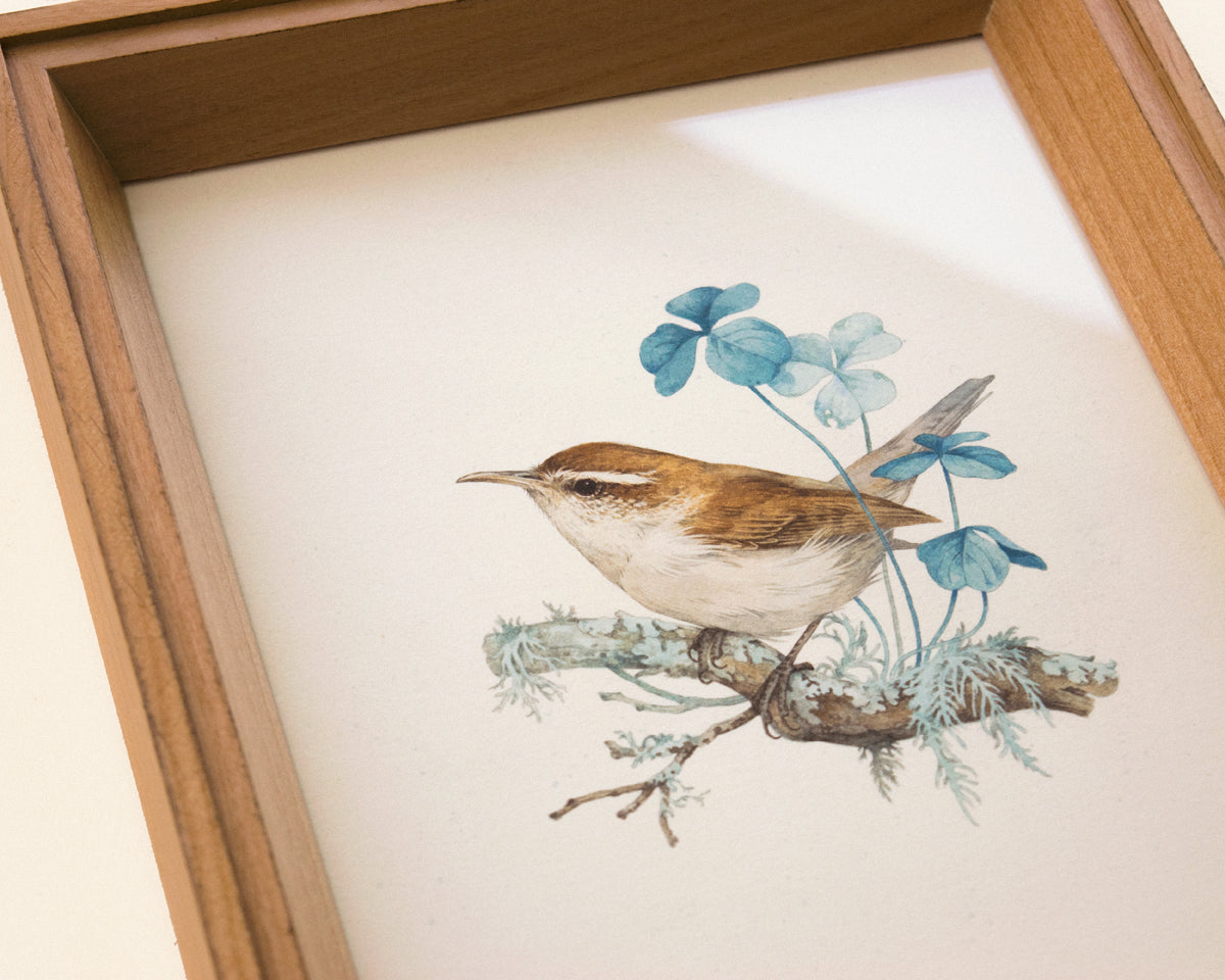 Teagan White - Wander