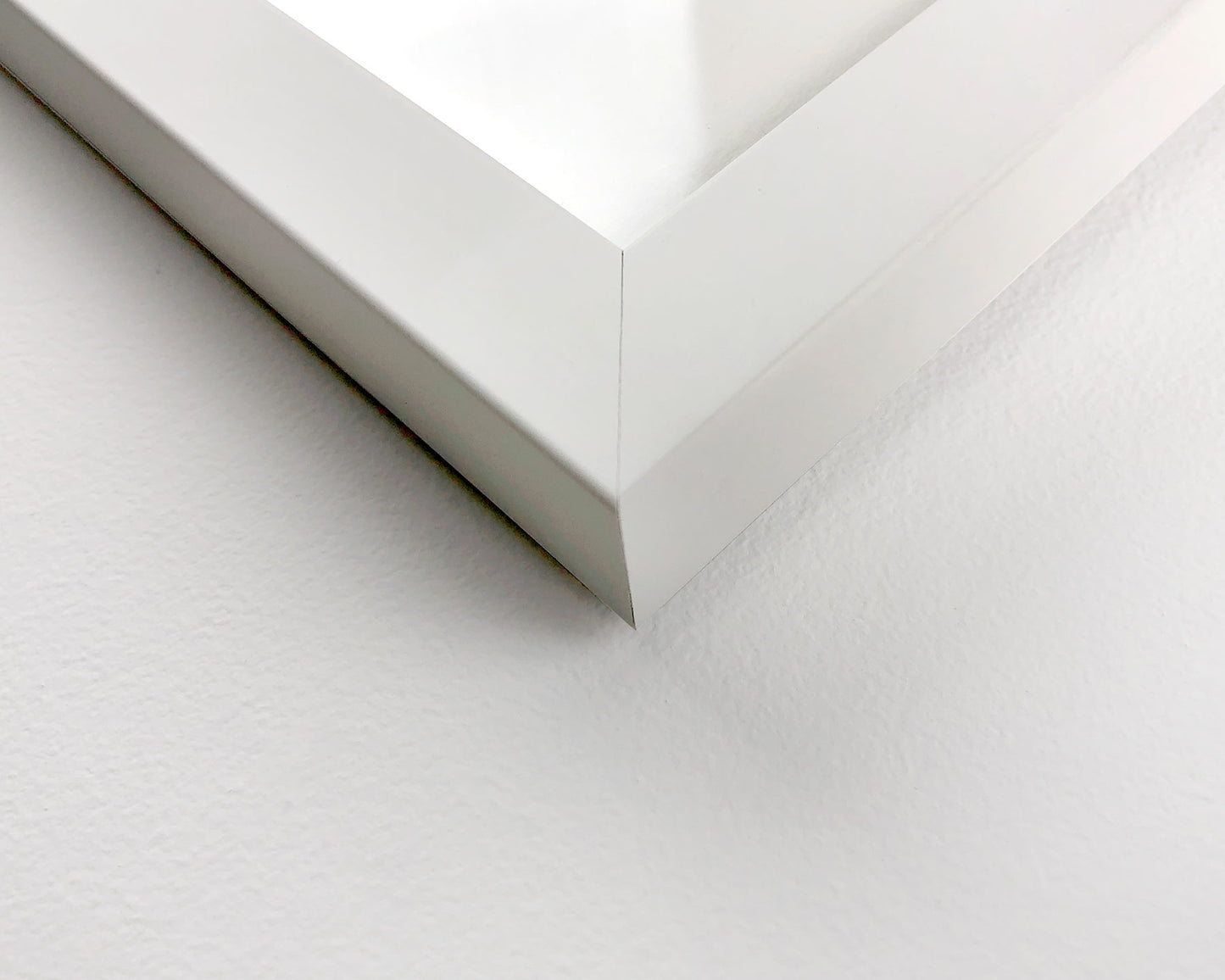 ニコール・グスタフソン - アメリカナキウサギ