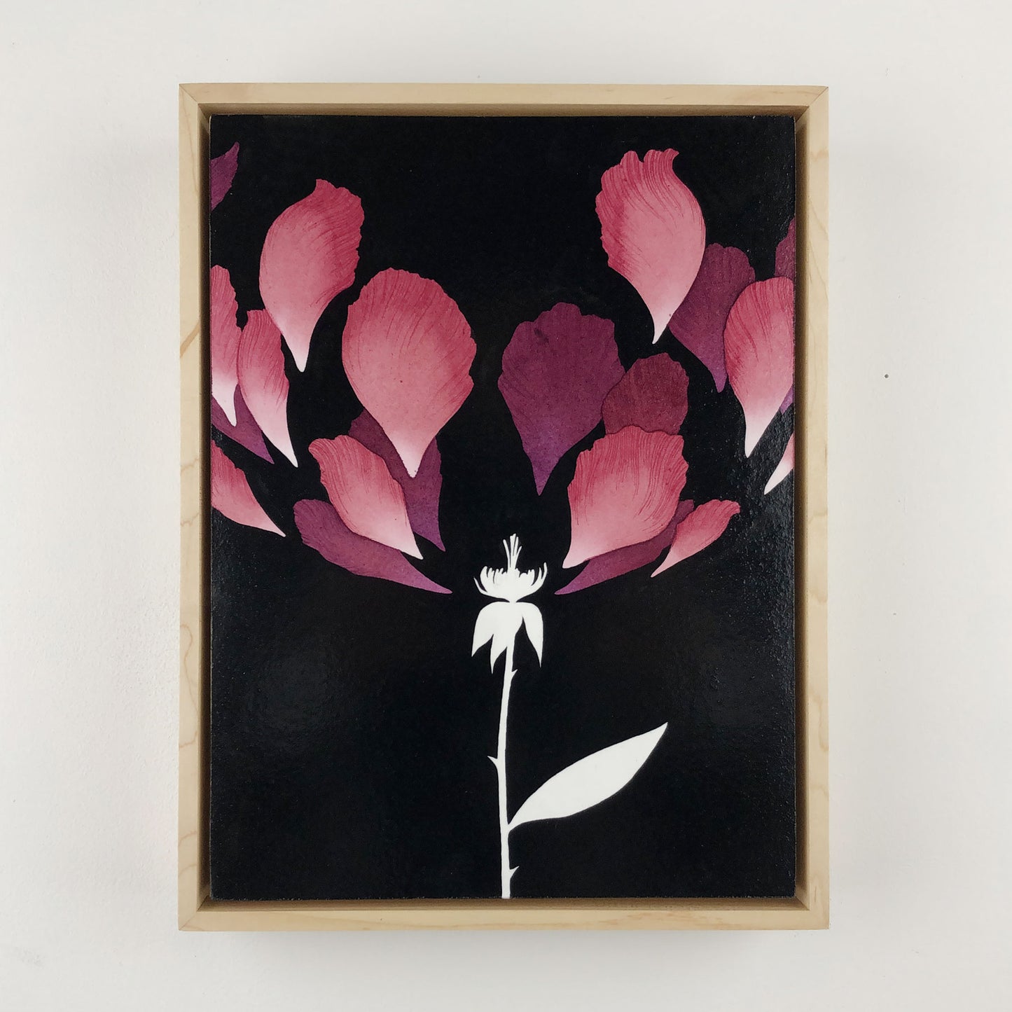 Leonardo Santamaria - Stamens and Pistils