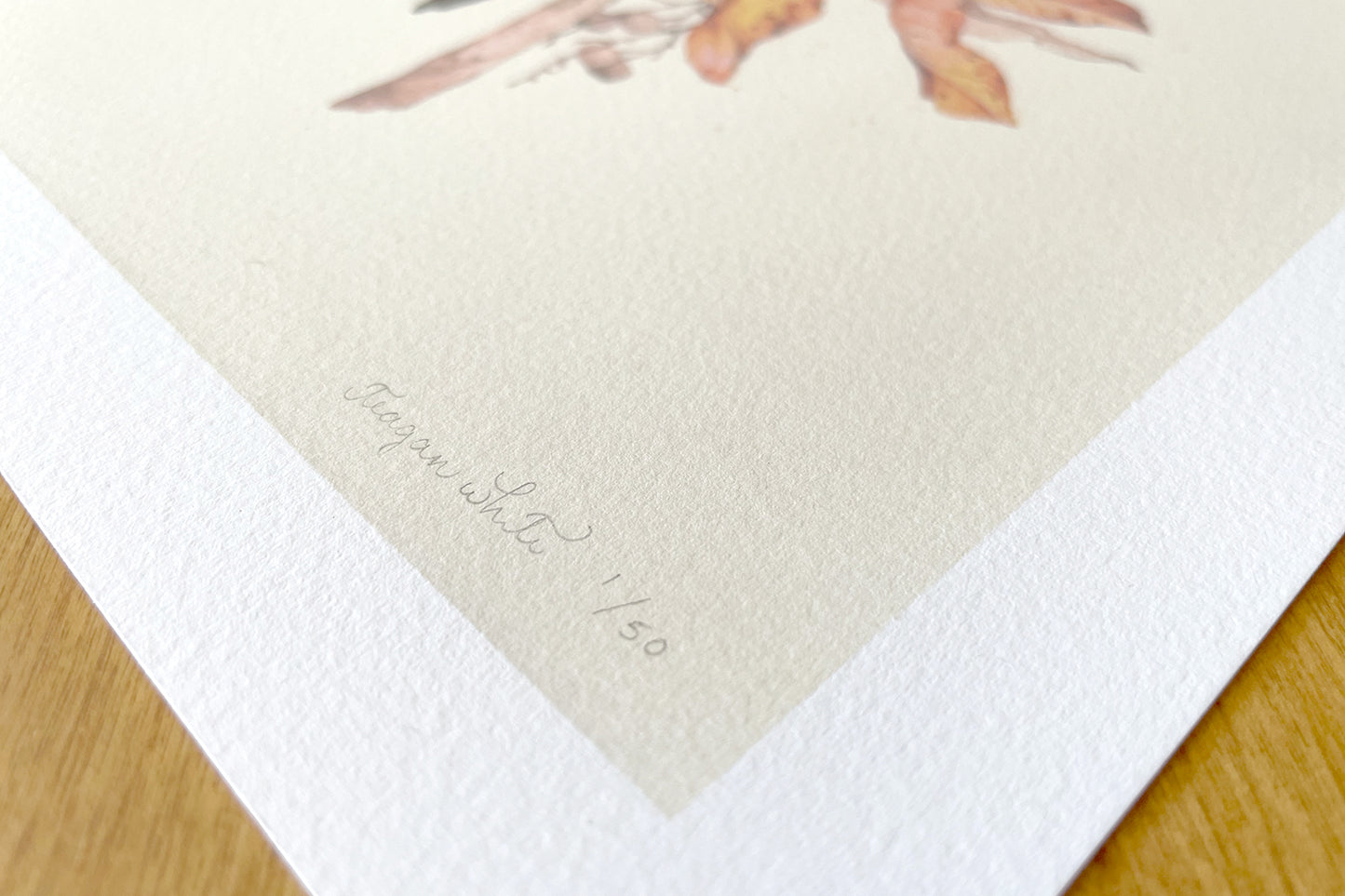 Teagan White - Seek & Suspend Ltd Edtn Set of 2 Prints