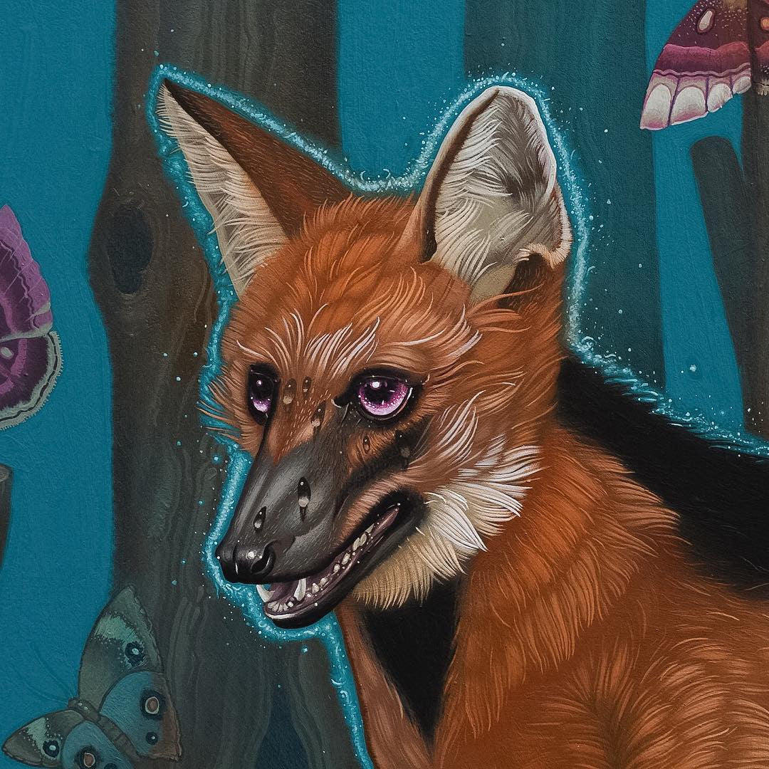 Kane Kokaris - Empyrean