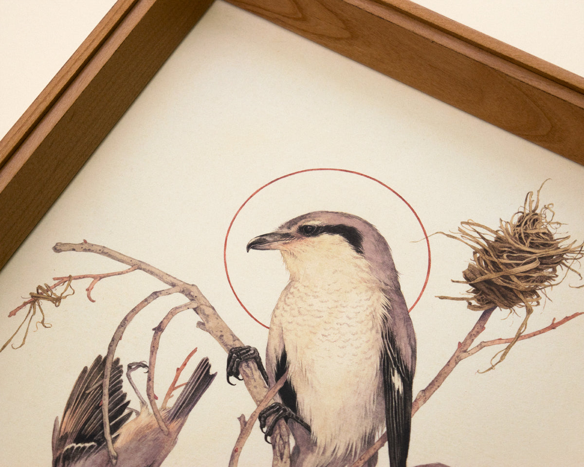 Teagan White - Yield