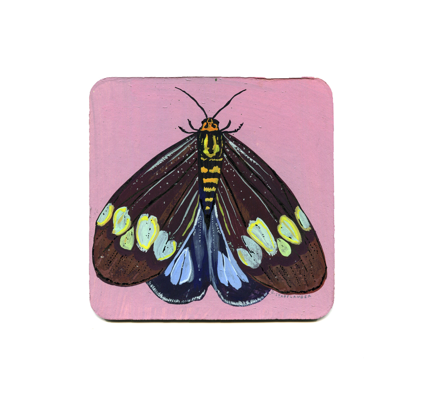 S2 Becca Stadtlander - Untitled 1 Coaster