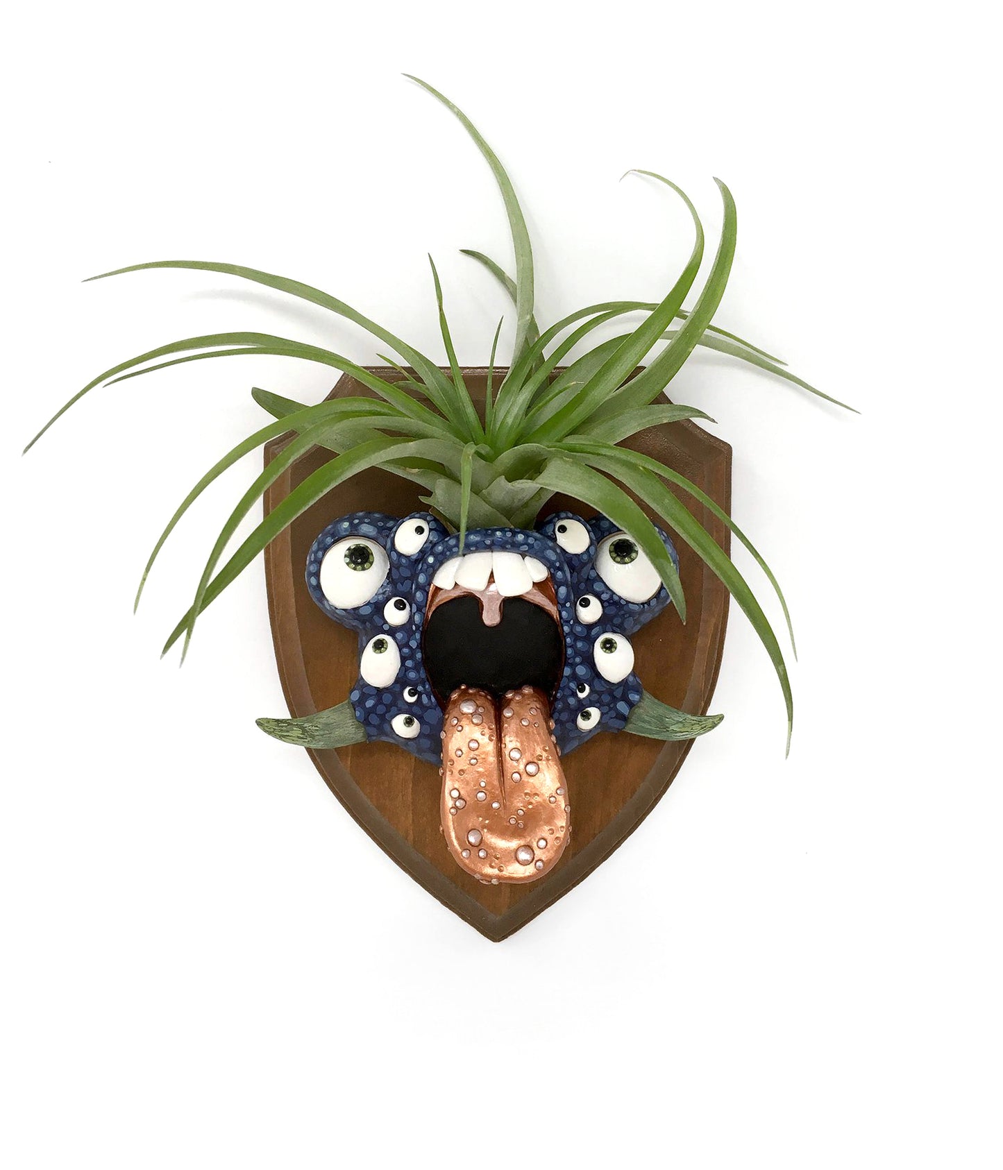 Brooke Duckart - Little beast with air plant hair