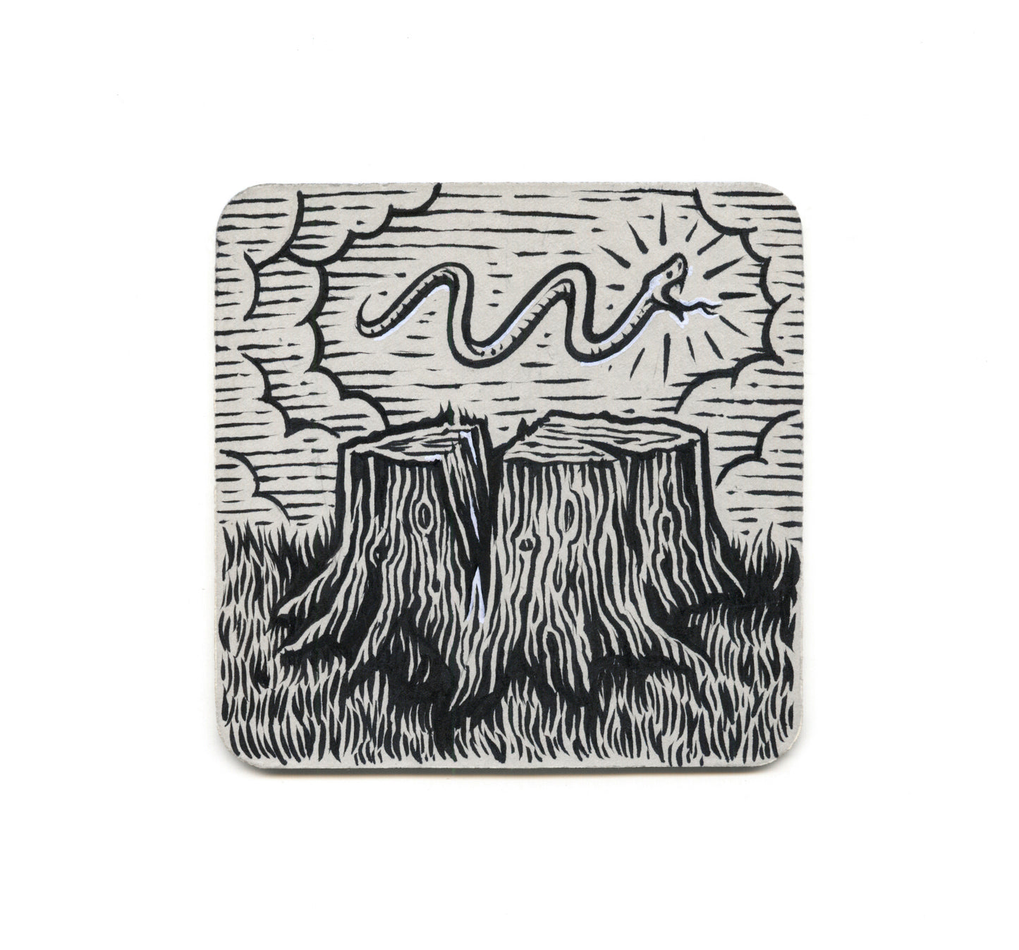 S2 Chad Eaton - The Snake Coaster