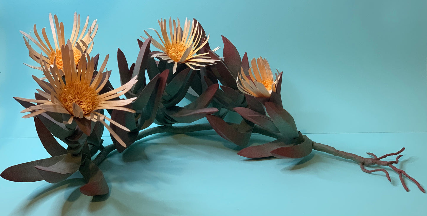 Cat Johnston - Coastal plant