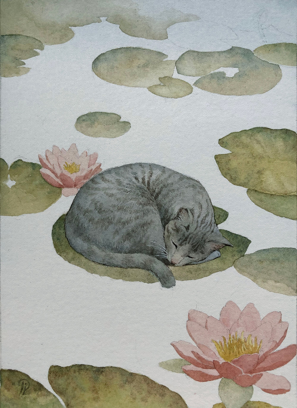 Lily Seika Jones - Lilypads