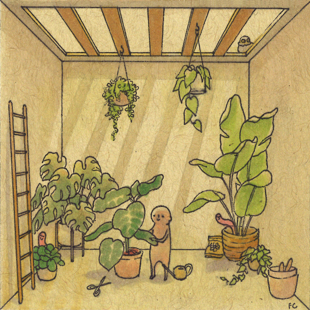 Felicia Chiao - Microdose 3