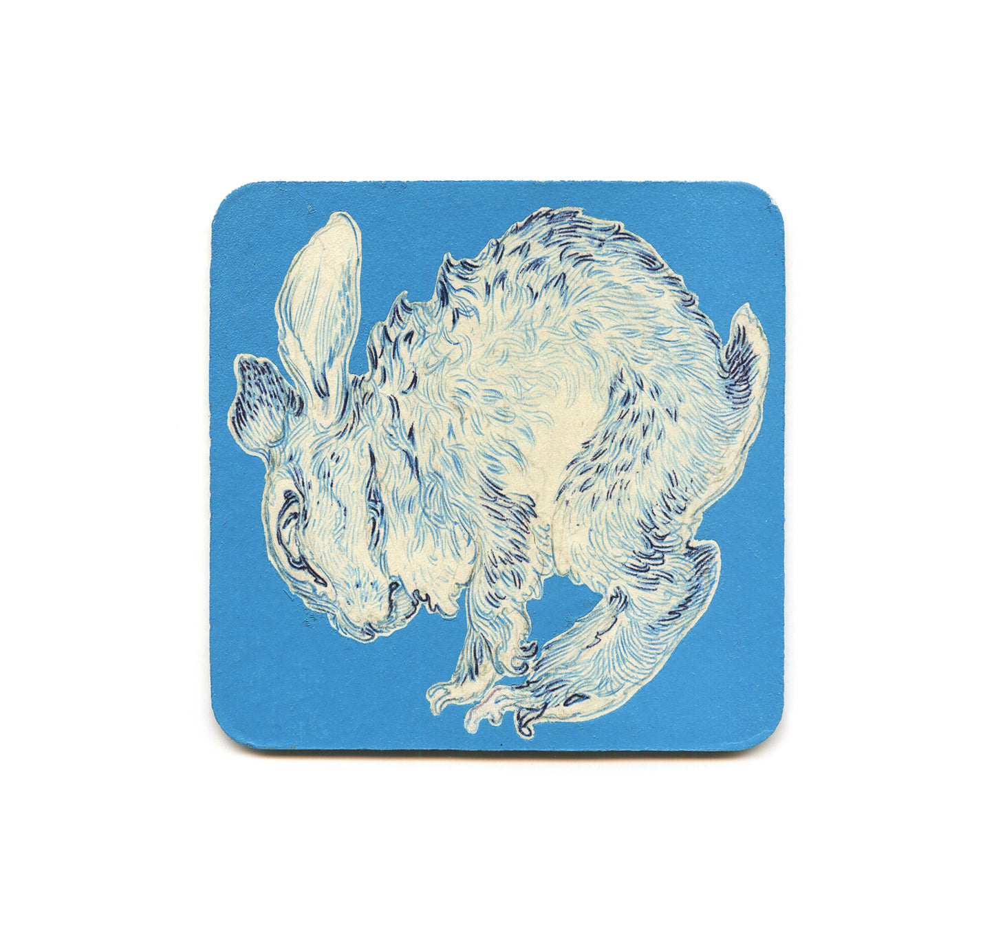 S2 Hermann Mejia - Rabbit 1 Coaster