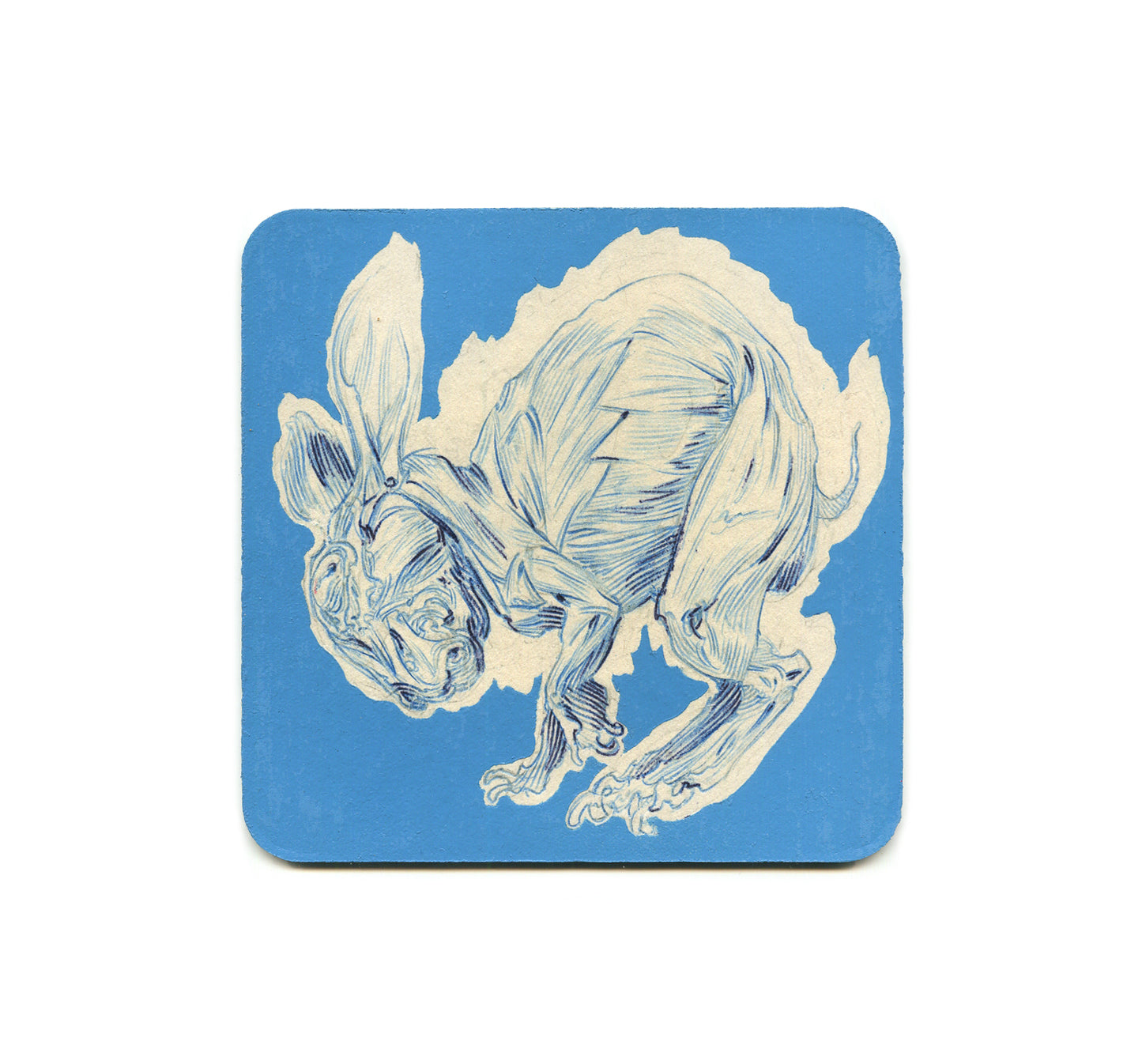 S2 Hermann Mejia - Rabbit 2 Coaster