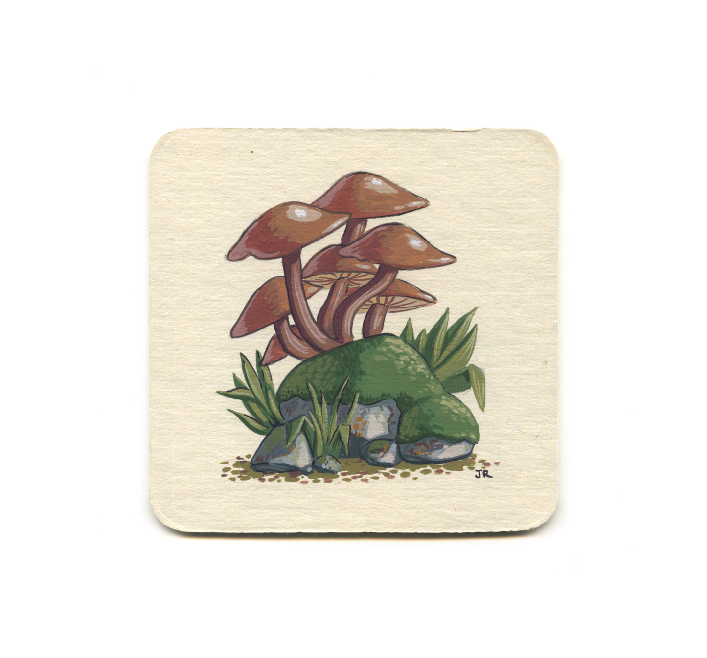 S2 Jesse Riggle - Mushrooms 2 Coaster