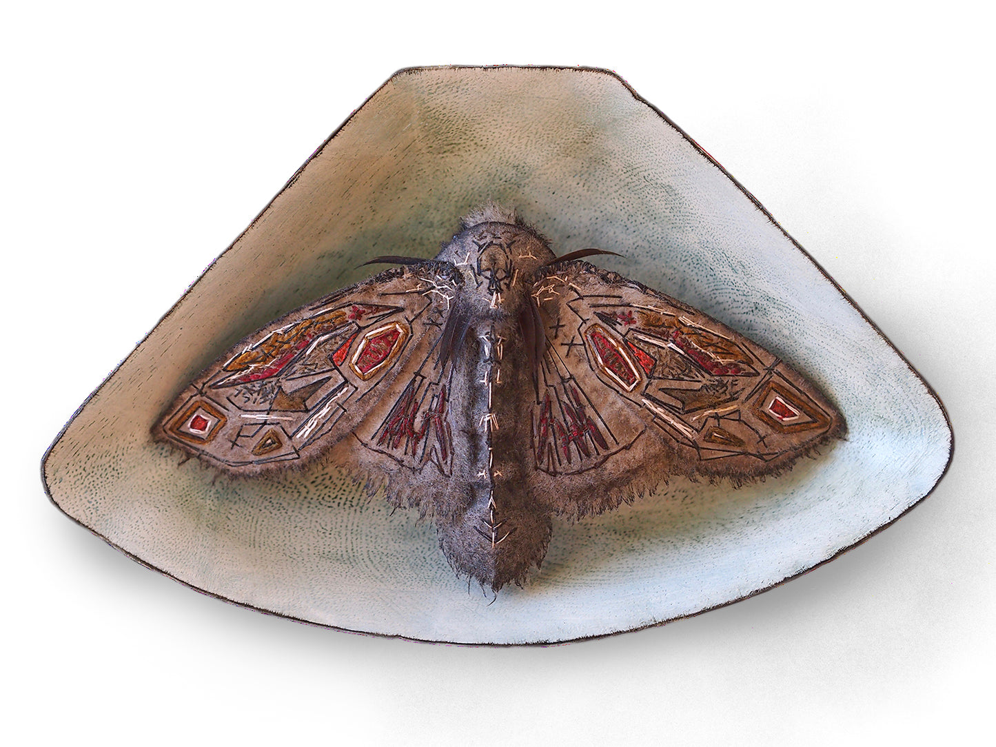 Joshua Storey - Moth Trio