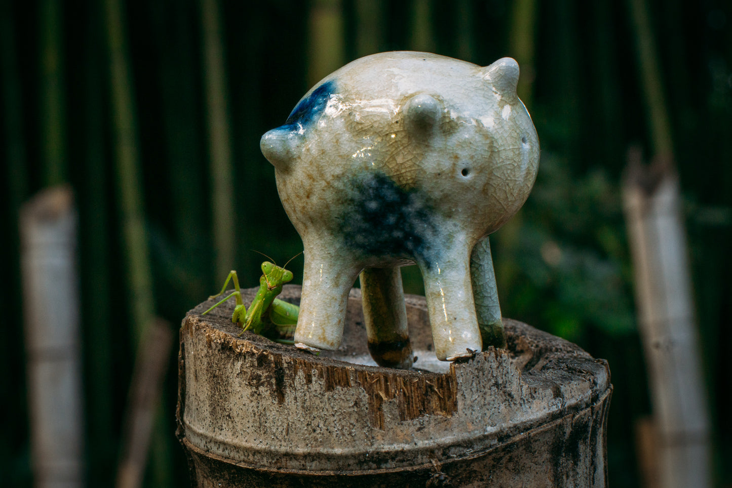 コージーキッチン - カイコマ