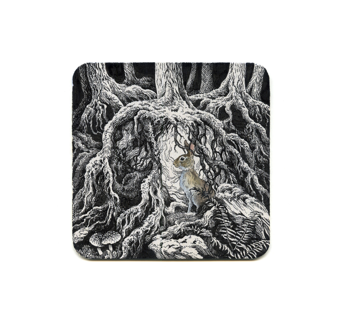 S2 Lily Seika Jones - The Hare Coaster