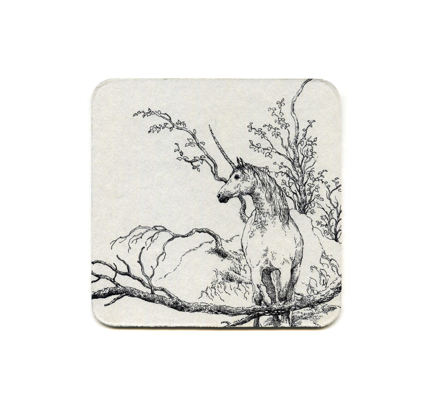 S2 Lily Seika Jones - The Unicorn Coaster