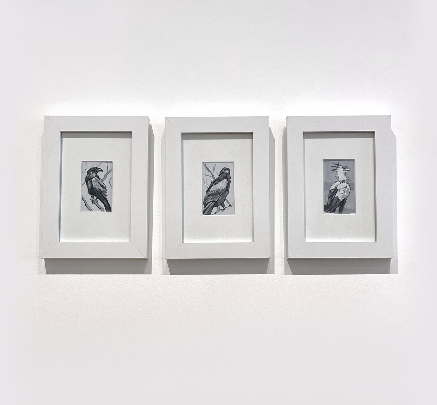 Bernard Lee - Bateleur Eagle