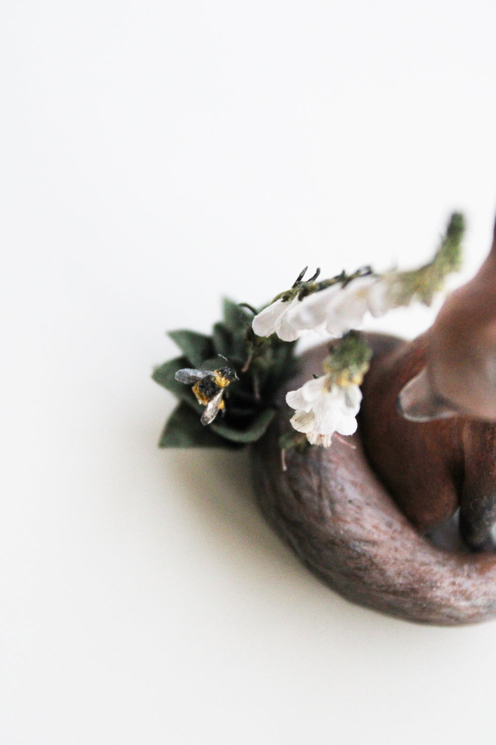 Meadow & Fawn - A Curious Nature