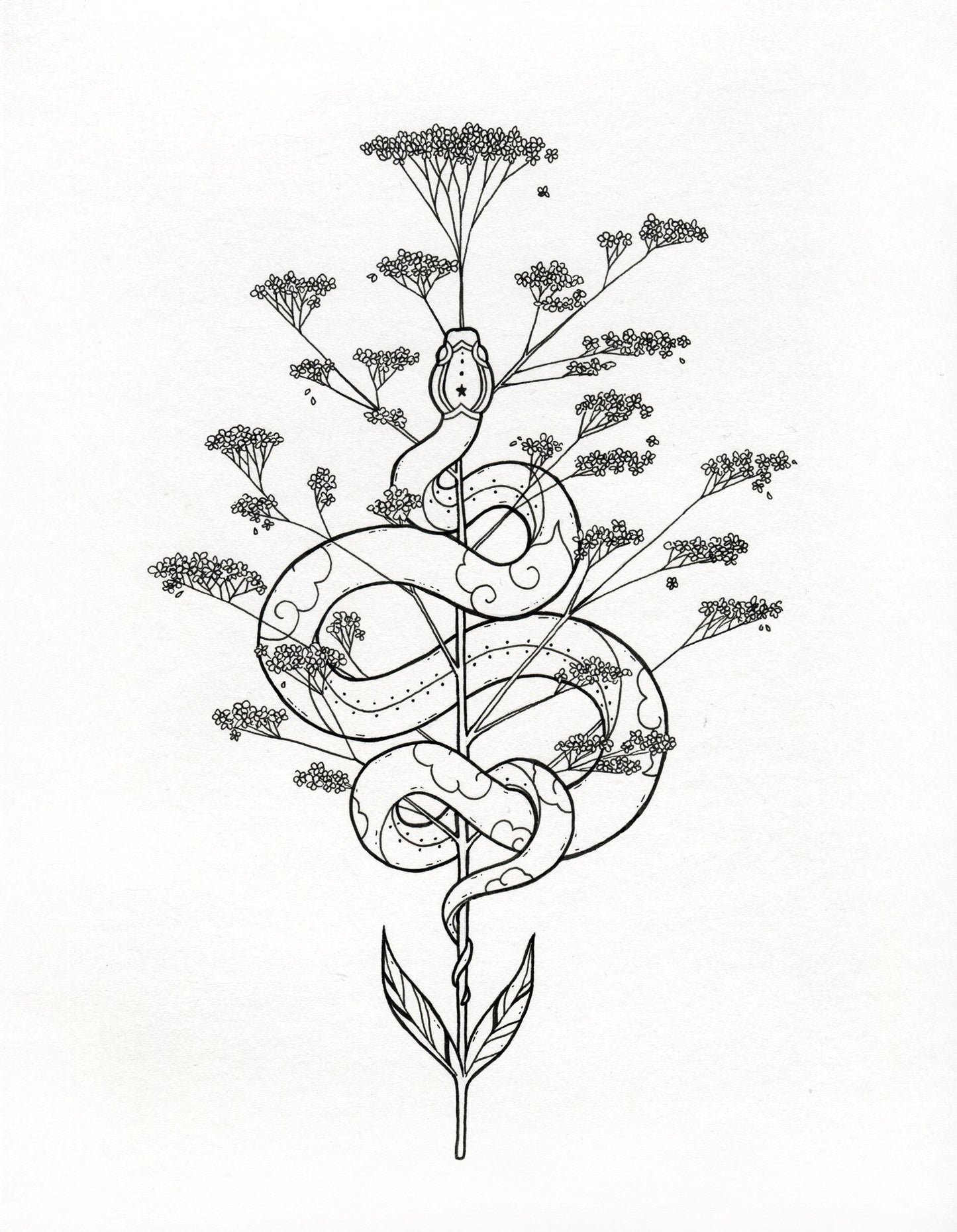 Michèle Schubert - Untitled 1