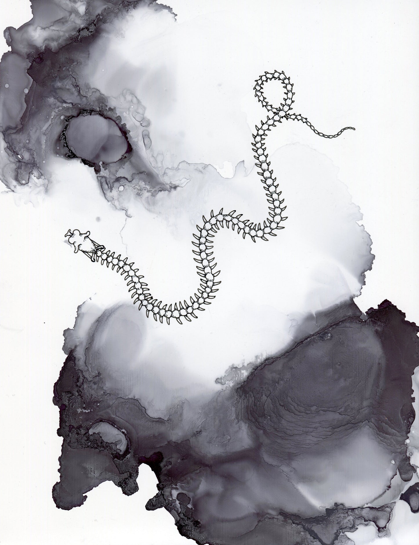 Michèle Schubert - Chasm