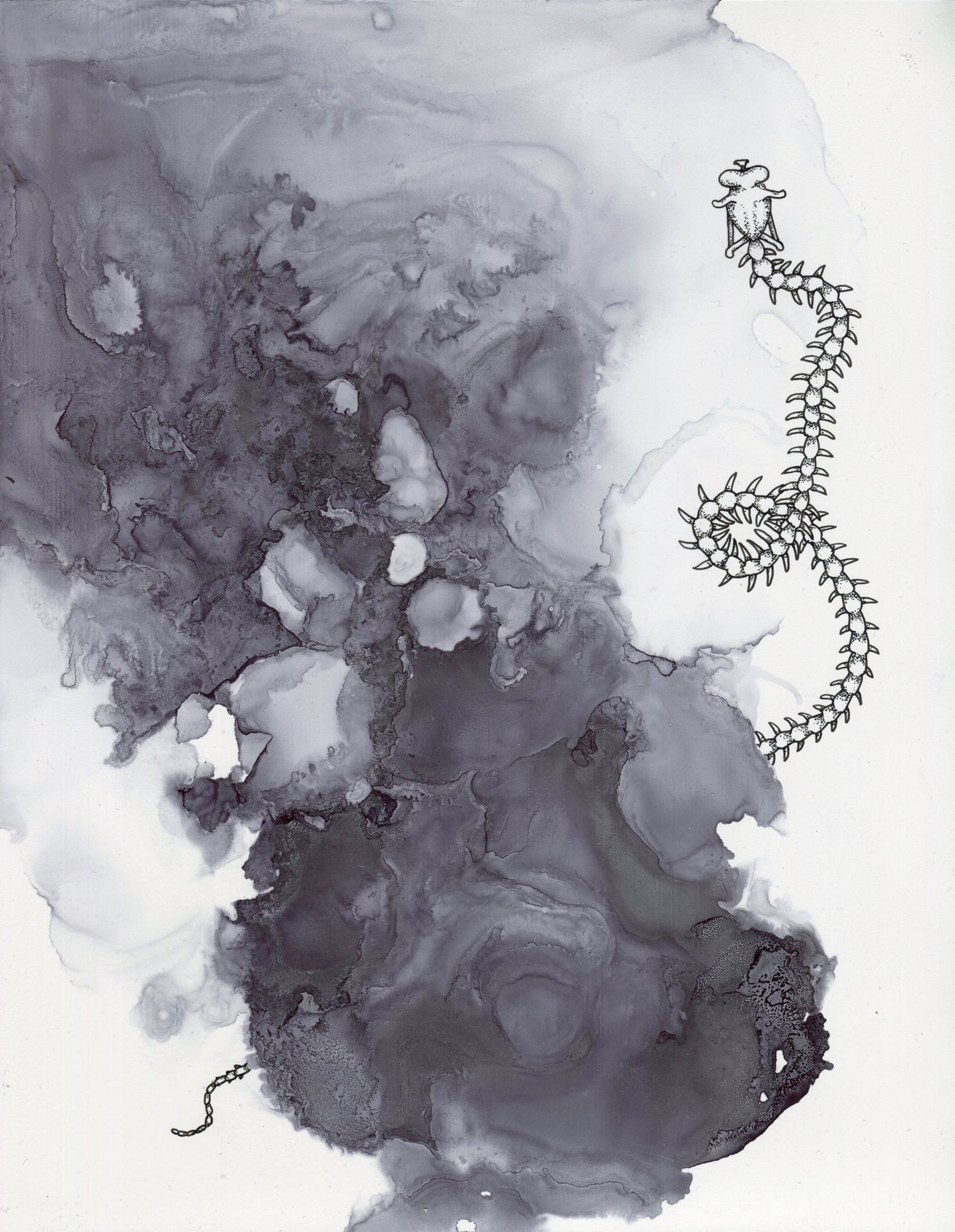 Michèle Schubert - Devour