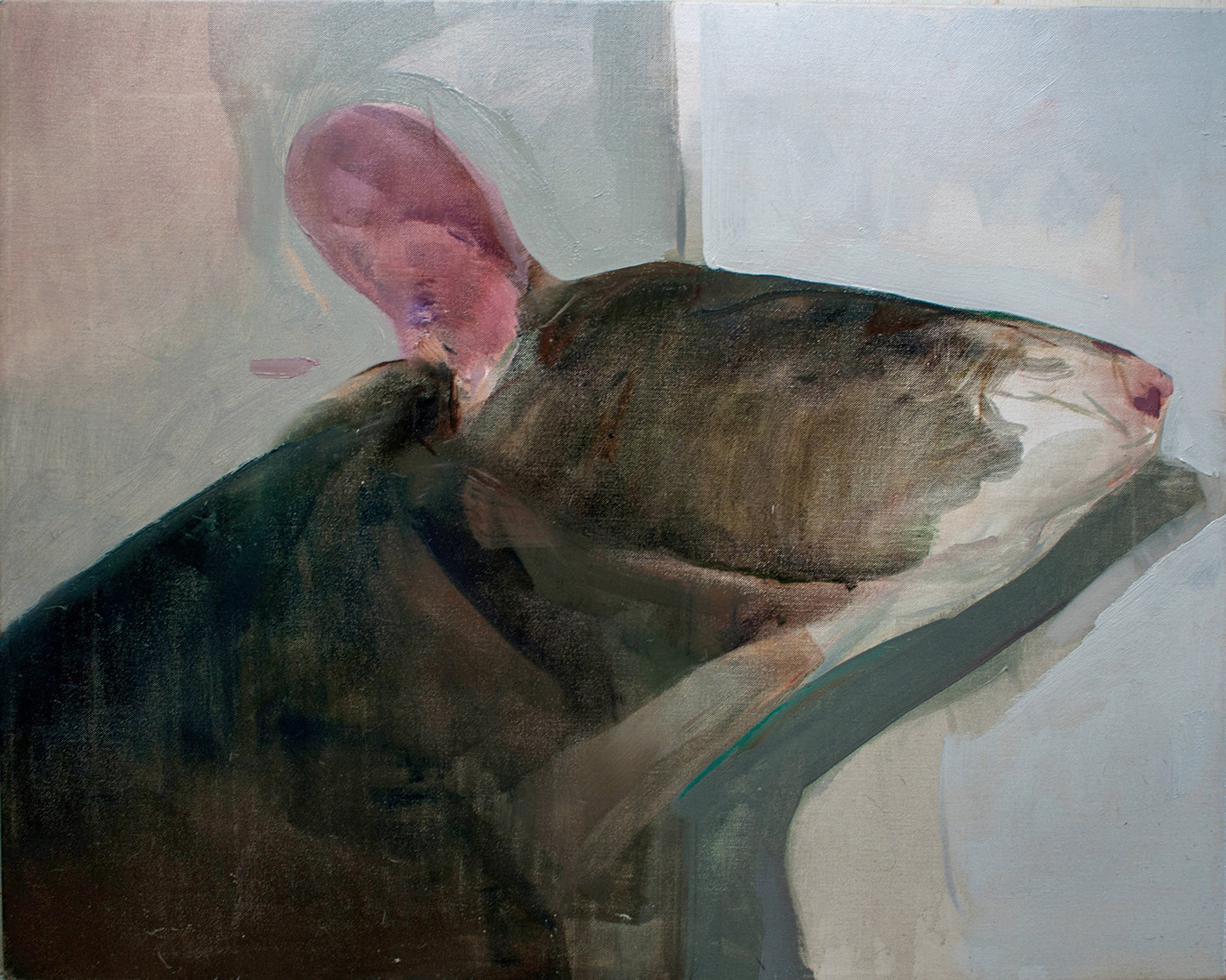 Benjamin Björklund - Natural History Museum 1