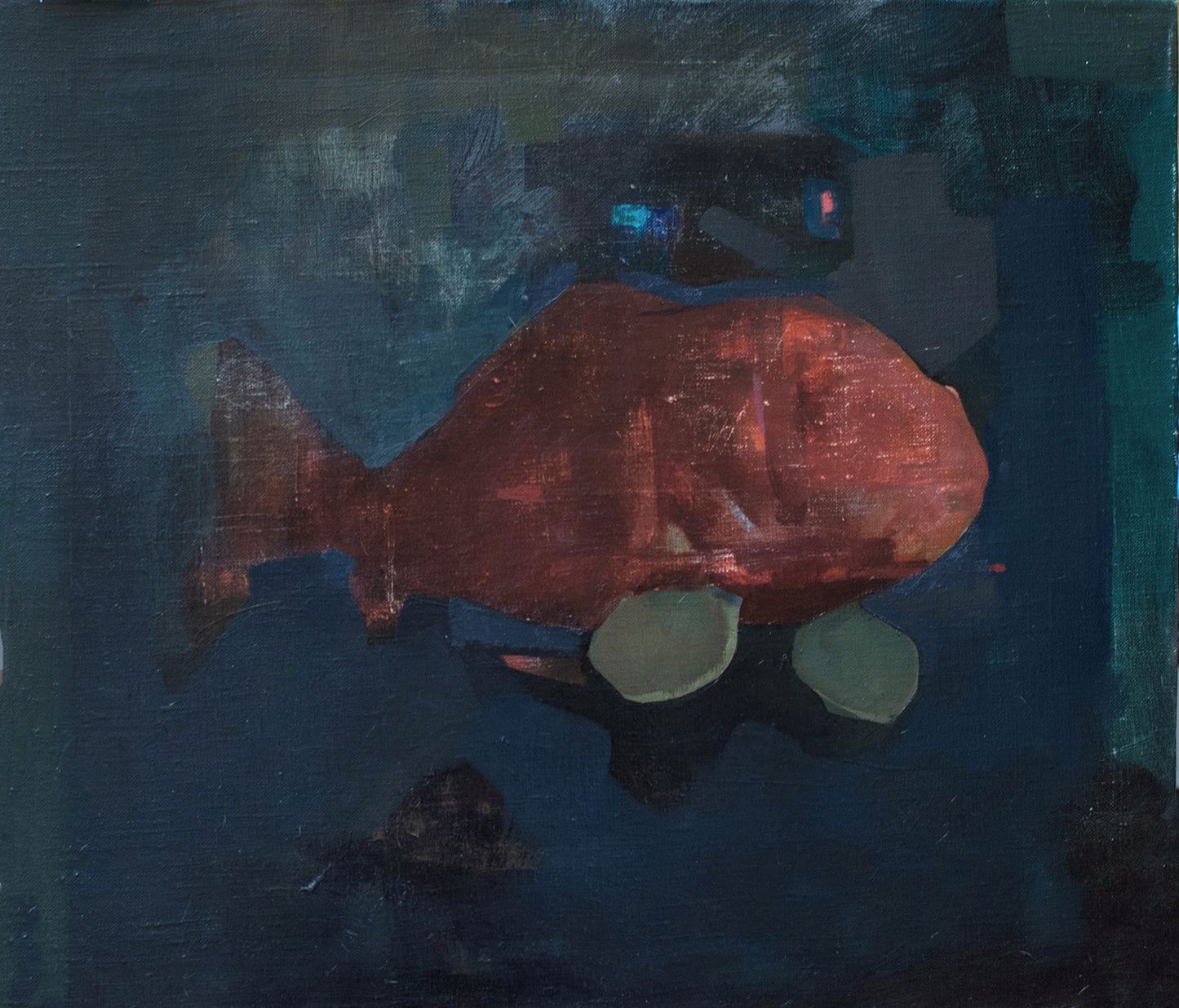 Benjamin Björklund - Natural History Museum 2