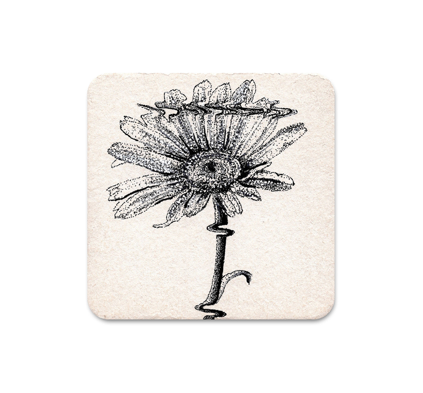 S4 コリン・フランジセット - コースター 1 枚