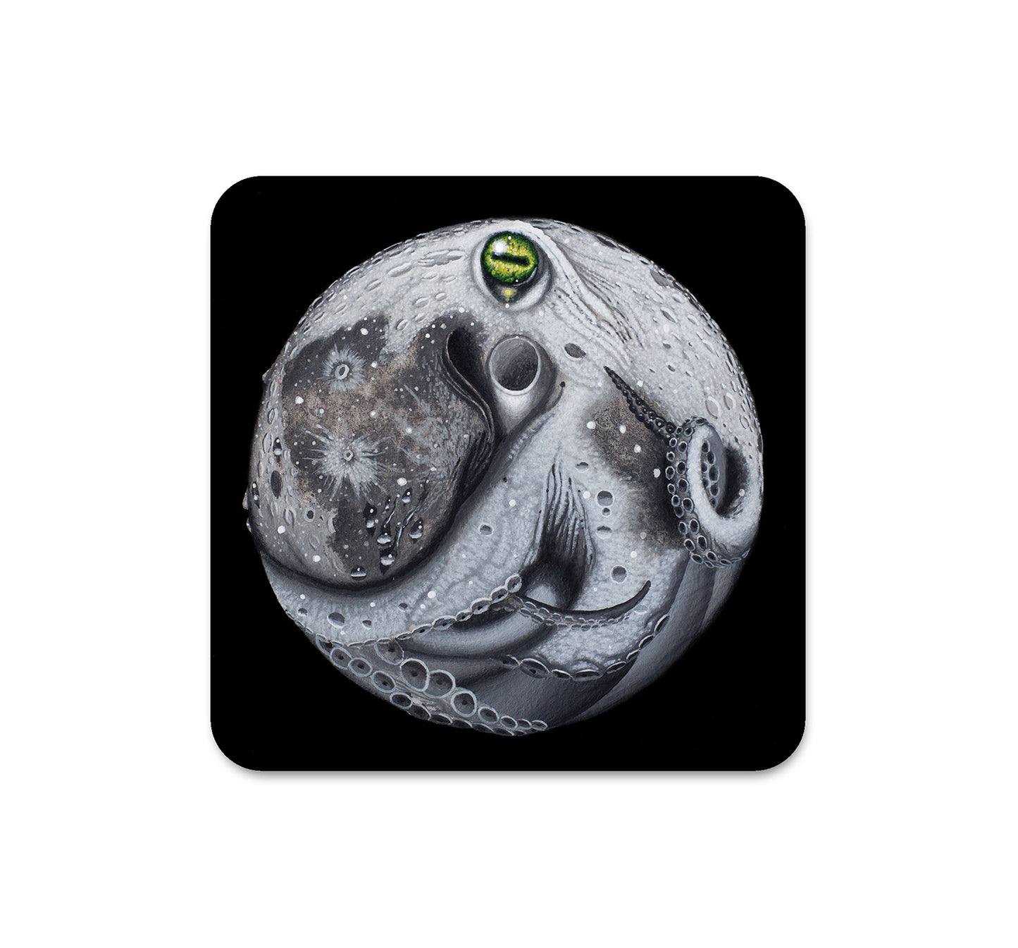 S4 Kane Kokaris - 2 Coaster